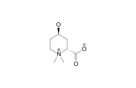 TRANS-4-HYDROXYPIPECOLIC-ACID-BETAINE