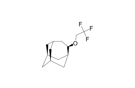 4-(2,2,2-TRIFLUOROETHOXY)-HOMOADAMANTANE