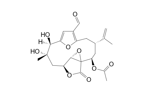 7-epi-lophodiol A