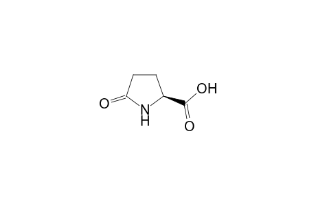 L-Pyroglutamic acid