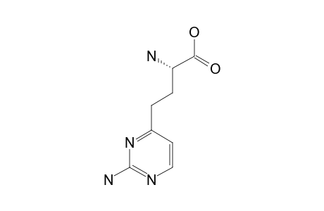 (S)-GAMMA-(2-AMINOPYRIMIDIN-4-YL)-ALPHA-AMINOBUTYRIC-ACID