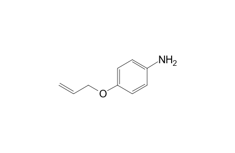 4-(Allyloxy)aniline