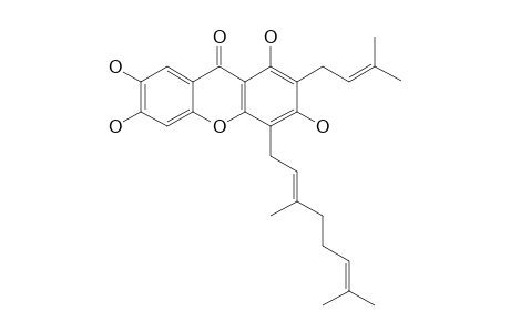 PRUNIFLORONE_Q;1,3,6,7-TETRAHYDROXY-2-PRENYL-4-GERANYLXANTHONE