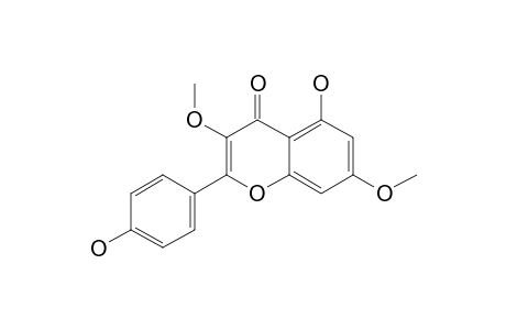 5,4'-DIHYDROXY-3,7-DIMETHOXYFLAVONE