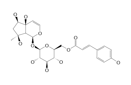 6'-O-TRANS-PARA-COUMAROYLHARPAGIDE