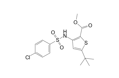 5-tert-butyl-3-(p-chlorobenzenesulfonamido)-2-thiophenecarboxylic acid, methyl ester