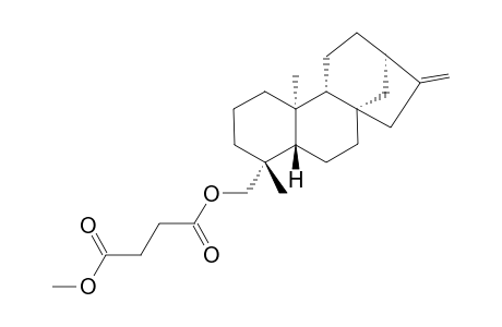 19-SUCCINYLOXY-ENT-KAUR-16-ENE-METHYLESTER