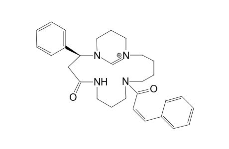 Incasine B