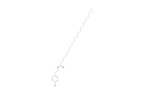 N-TETRACOSANOYLTYRAMINE