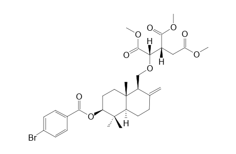 CRYPTOPORIC-ACID-I-METHYLESTER-PARA-BROMOBENZOATE