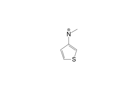 3-(METHYLAMINO)-THIOPHENE-CATION