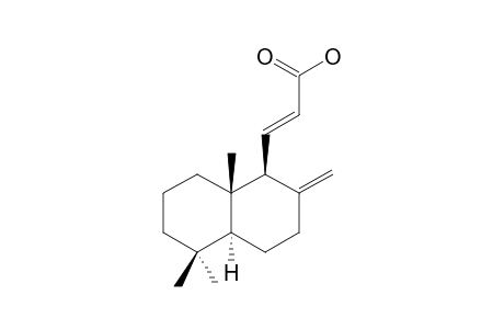 (E)-14,15,16-TRINORLABDA-8-(17),11-DIEN-13-OIC_ACID