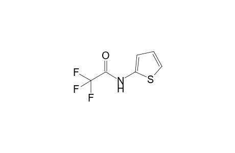 2,2,2-trifluoro-N-(2-thienyl)acetamide