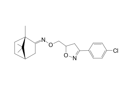 [1S,4S,(E)]-1,7,7-TRIMETHYL-BICYCLO-[2.2.1]-HEPTAN-2-ONE-O-[[3-(4-CHLOROPHENYL)-4,5-DIHYDRO-ISOXAZOL-5-YL]-METHYL]-OXIME