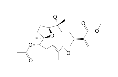 DENDRONPHOLIDE_P