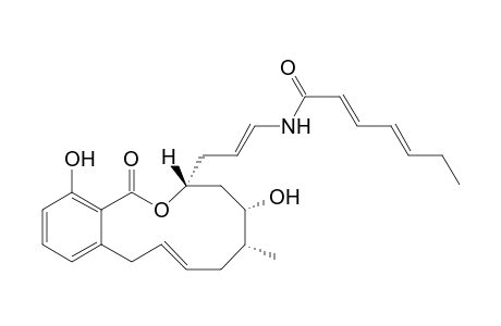 Sailcylihalamide A