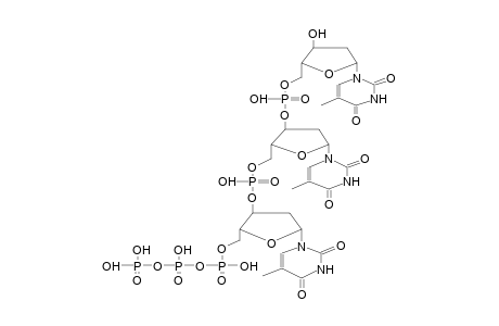 PHOSPHORILATED TRITHYMIDYLATE, 5'-TRIPHOSPHATE