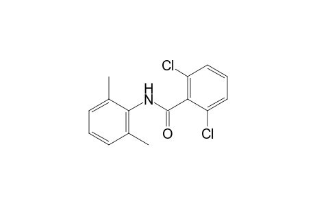 2,6-dichloro-2',6'-benzoxylidide