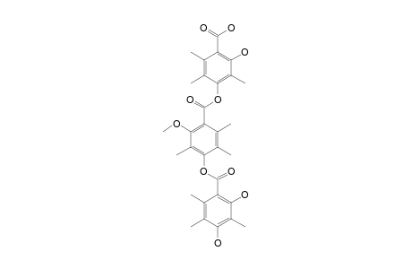 THIELAVIN-O;4-[4'-(2'',4''-DIHYDROXY-3'',5'',6''-TRIMETHYLBENZOYLOXY)-3',5',6'-TRIMETHYL-2'-METHOXYBENZOYLOXY]-2-HYDROXY-3,5,6-TRIMETHYLBENZOIC-ACID