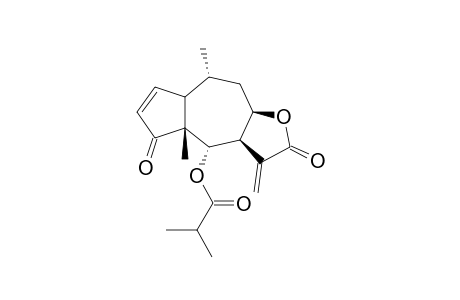 SKAOENNHESXSCC-XGPCFFPKSA-N