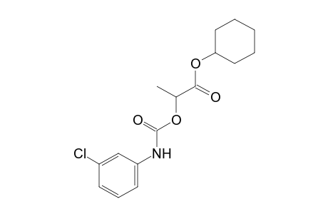 m-CHLOROCARBANILIC ACID, ESTER WITH LACTIC ACID, CYCLOHEXYL ESTER