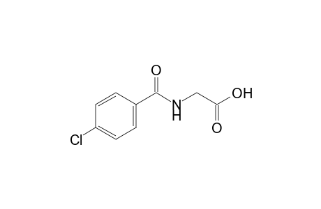 p-chlorohippuric acid