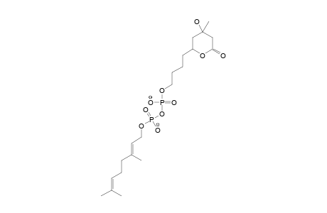 P'-GERANYL-5-[2'-(HYDROXY)-BUTYL]-MEVALONATE-LACTONE-2'-DIPHOSPHATE