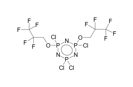 1,1,3,5-TETRACHLOROBIS(1,1-DIHYDROPERFLUOROPROPOXY)CYCLOTRIPHOSPHAZENE