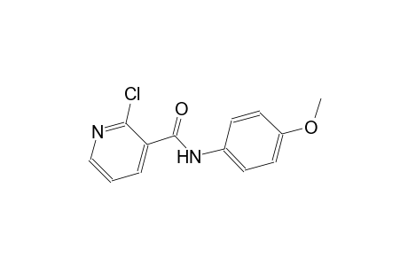 2-chloro-N-(4-methoxyphenyl)nicotinamide