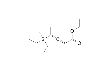 ETHYL-2-METHYL-4-TRIETHYLSILYLPENTA-2,3-DIENOATE