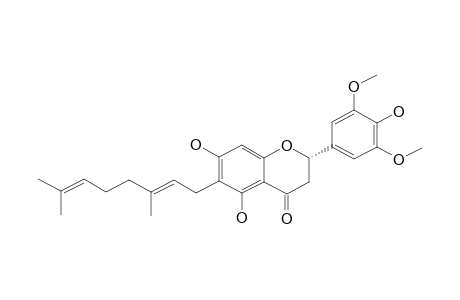 6-GERANYL-4',5,7-TRIHYDROXY-3',5'-DIMETHOXY-FLAVANONE