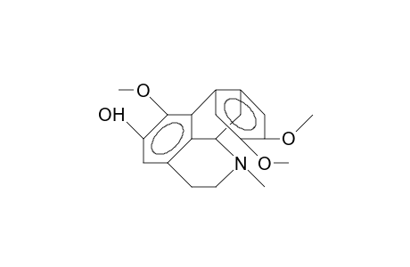 PREDICENTRINE