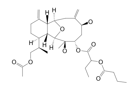 HIRSUTALIN_B