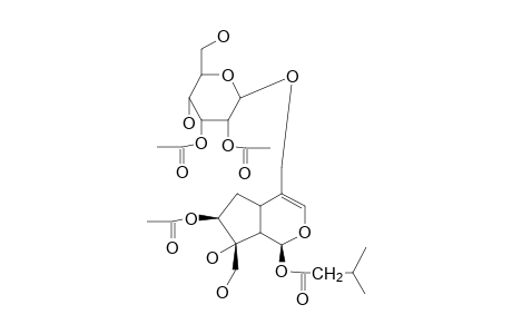 OPULUS IRIDOID-II (A)