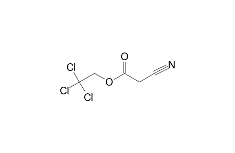 TRICHLOROETHYL-CYANOMALONATE