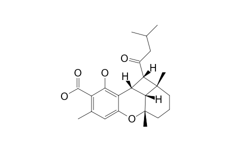 ANTHOPOGOCHROMANE