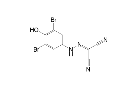 Propanedinitrile, 2-[2-(3,5-dibromo-4-hydroxyphenyl)hydrazinylidene]-