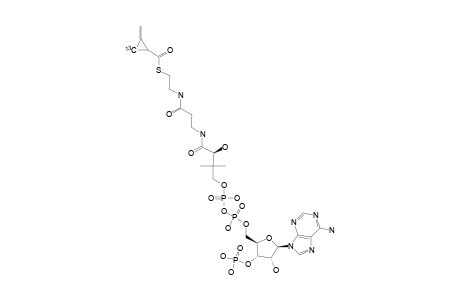 [3-(13)-C1]-(METHYLENECYCLOPROPYL)-FORMYL-COA