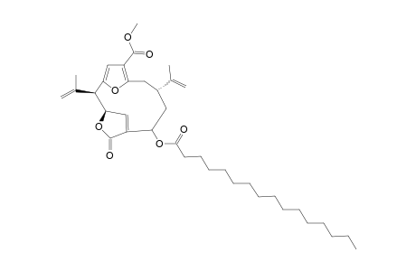 LIPIDYL_PSEUDOPTERANE_D