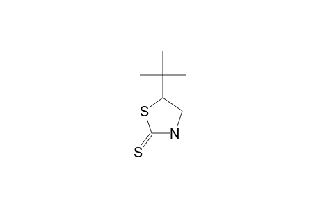 5-TERT.-BUTYL-THIAZOLIDINE-2-THIONE