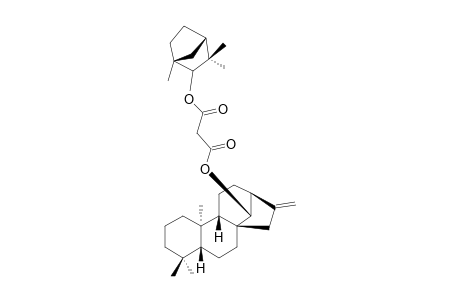 (14R)-ENT-KAUR-16-EN-14-YL FENCHYL MALONATE