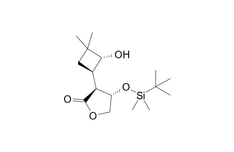 (3S,4S)-4-(TERT.-BUTYLDIMETHYLSILYLOXY)-3-[(1R,2R)-2-HYDROXY-3,3-DIMETHYLCYCLOBUTYL]-4,5-DHYDROFURAN-2(3H)-ONE