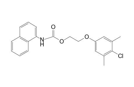 1-NAPHTHALENECARBAMIC ACID, 2-/4- CHLORO-3,5-XYLYLOXY/ETHYL ESTER