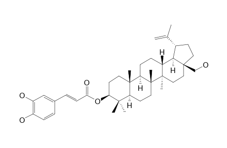 BETULIN-3-BETA-CAFFEATE