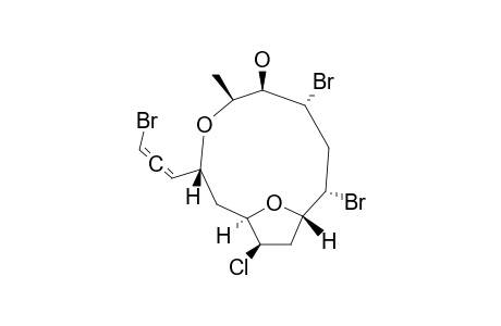 OBTUSALLENE_X