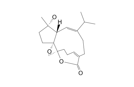 SARSOLILIDE-B