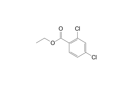 2,4-Dichloro-benzoic acid, ethyl ester