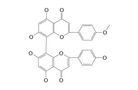 4'-O-METHYLCUPRESSUFLAVONE