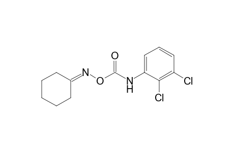 cyclohexanone, O-[(2,3-dichlorophenyl)carbamoyl]oxime