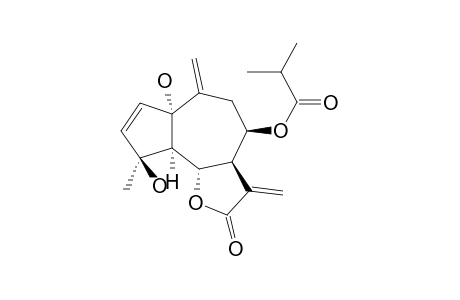 SUBCORDATOLIDE A